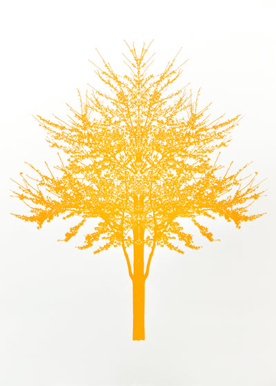 Yellow Orange Baum Test, 2022