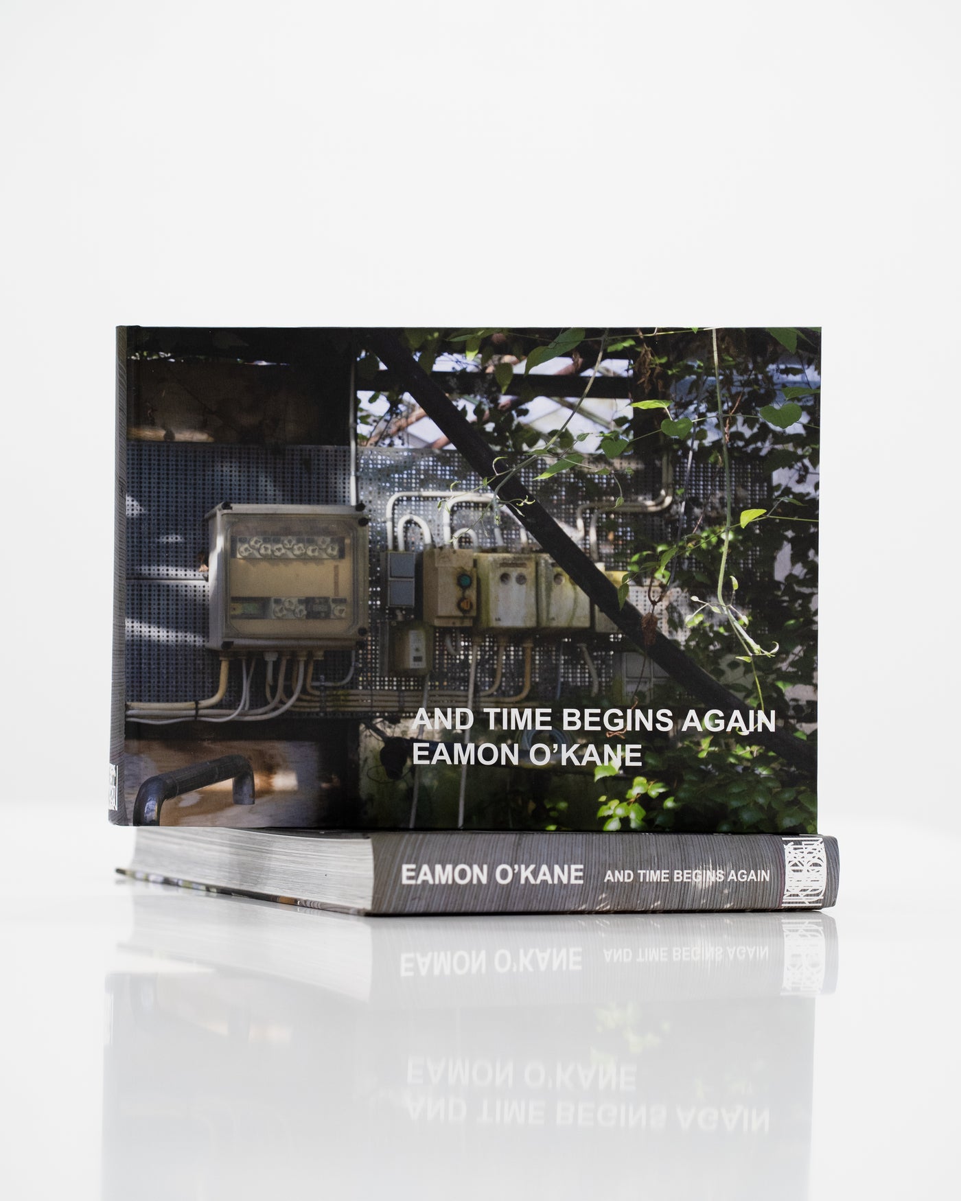 Art book:  And Time Begins Again by Eamon O'Kane