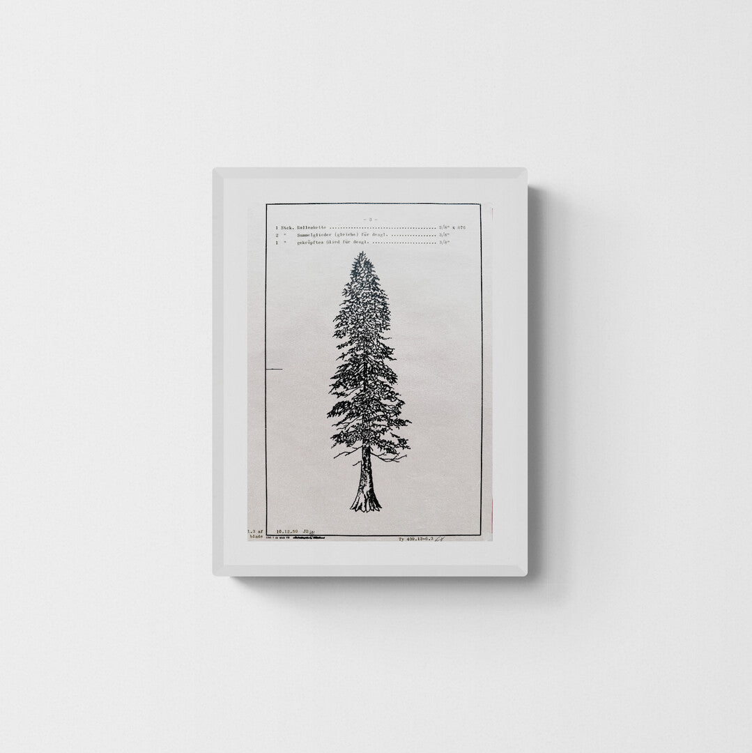 Tree Elevation study